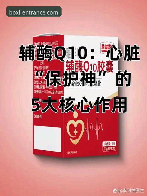 2026博喜体育安装包 2026博喜体育安装包:5个必须了解的核心优势与使用指南